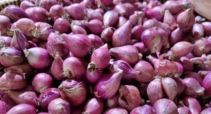 Harga Bawang Merah di Jakarta Naik Drastis Tembus 80 Ribu/Kg