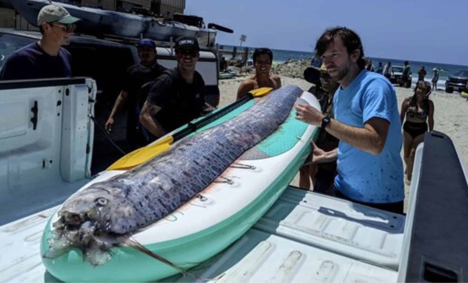 Ikan 'Hari Kiamat' Muncul, Ini Mitos Seram di Baliknya